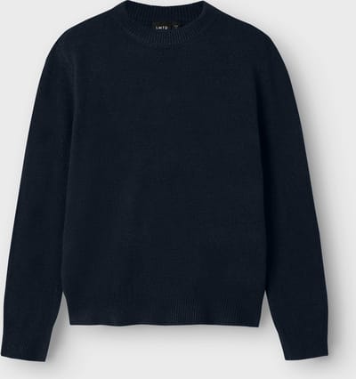 NAME IT - NLMLODETT LS O-NECK KNIT - Jongens - Truien