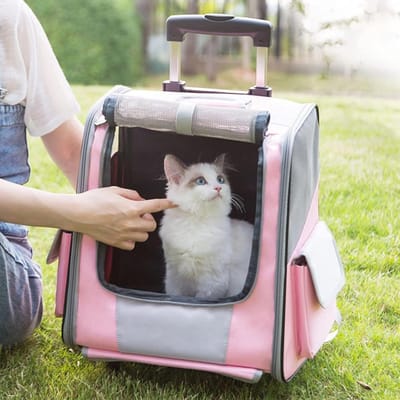 Huisdier Rugzak - Reismand Kat Hond - Veilig Reizen - 3-in-1 Draagopties - 35x27x27 cm - Grijs