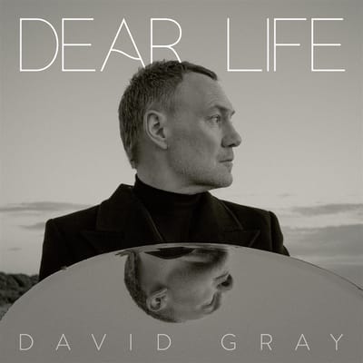 David Gray - Dear Life (2 LP)
