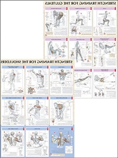 Anatomie Krachttraining Poster - Spierkaart Oefeningen - Oefeningen Visualiseren - Gedetailleerde Illustraties - 1 Chrt - null