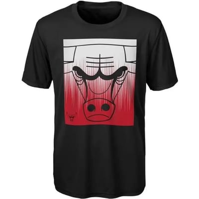 Kinder-T-shirt Chicago Bulls Fresh Fade