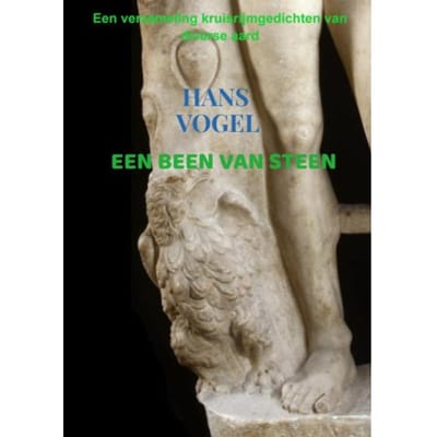 Een Been Van Steen - Hans Vogel