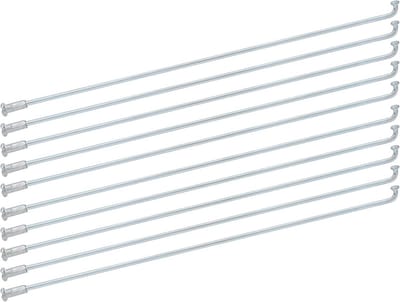 10x RVS Fietswielspaken 2.2mm Dikte voor Mountainbike en Driewieler - 310mm
