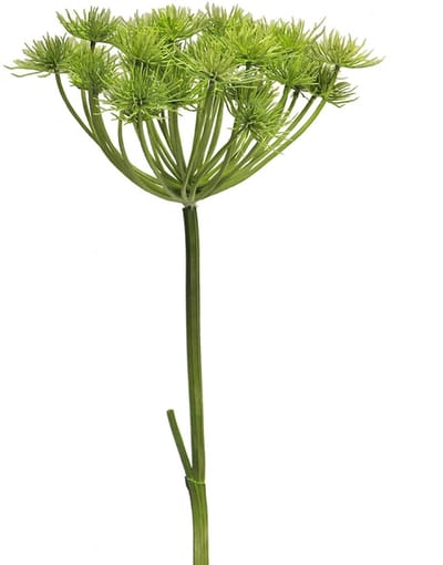 Kunstbloem Heracleum Groen - 98 cm