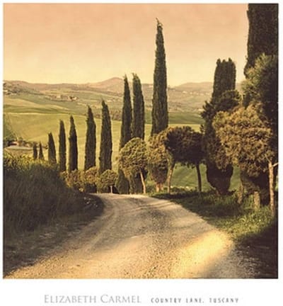 Kunstdruk Elisabeth Carmel - Country Lane, Tuscany 45x50cm