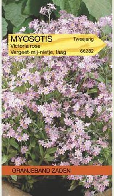 Oranjeband Zaden - Vergeet-mij-niet Victoria Roze (Myosotis)