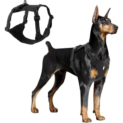 Hondenharnas Reflecterend Verstelbaar Mesh Lichtgewicht Vest voor Kleine Middelgrote Grote Honden Medium zwart