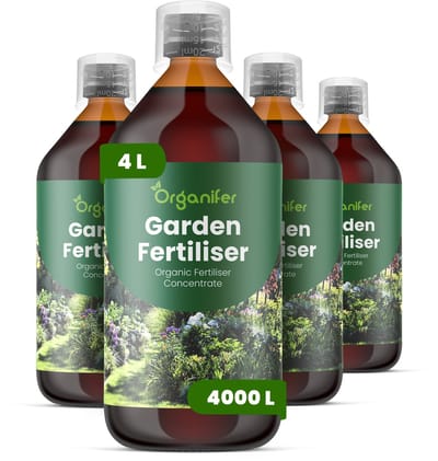 Vloeibare Meststof Voor Tuin 4X1 L Voor 4000 L - Npk 2-1-8 - Ondersteunt Vitale Groei Van Rozen - Heesters - Vaste Planten - Bloembollen En Gemengde Borders - Verbetert Weerbaarheid Bij Snoei - Verbetert Bloeiduur - Bloemgrootte - Organifer