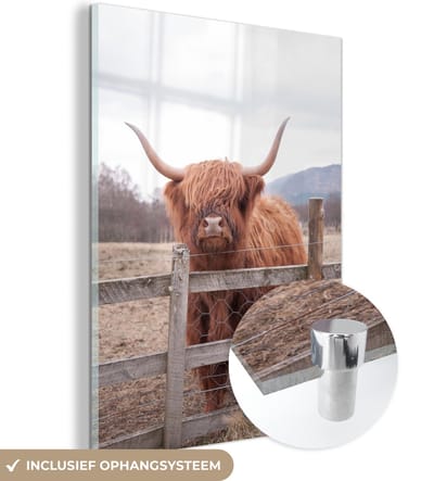 MuchoWow® Glasschilderij 120x160 cm - Schilderij acrylglas - Schotse Hooglander - Gras - Hek - Foto op glas - Schilderijen