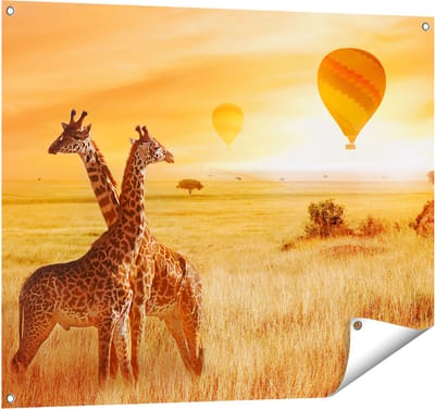 Gards Tuinposter Twee Giraffen met Twee Oranje Luchtballonnen - 100x80 cm - Tuindoek - Tuindecoratie - Wanddecoratie buiten - Tuinschilderij