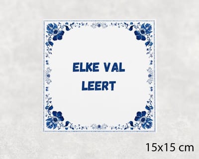 Spreuk tegel 15x15 cm Elke val leert