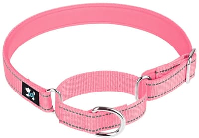Dailygoods- Hondenhalsband Verstelbaar - Martingale Veiligheidstraining - Neopreen Gewatteerd - Nylon Ademend - Maat Large 42-60 cm - Geschikt voor Grote Honden - Halsband