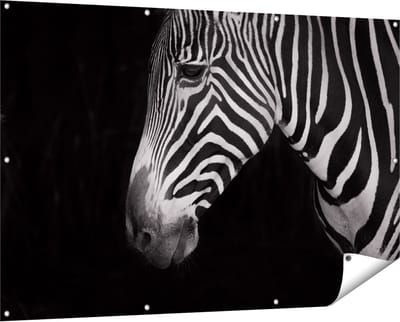 Gards Tuinposter Zebra Kop vanaf de Zijkant - Zwart Wit - 150x100 cm - Tuindoek - Tuindecoratie - Wanddecoratie buiten - Tuinschilderij