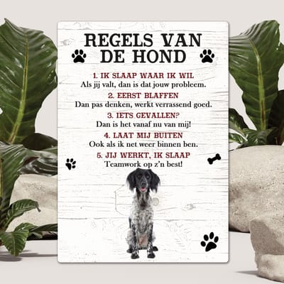 Spreuken - Grote Münsterländer - Regels Van De Hond - Spreuken Bordjes - Spreukenbord - Tekstborden - Cadeau - Hondenras