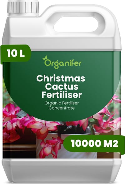 Vloeibare Meststof Voor Kerstcactus 10 L Voor 10000 M2 - Npk 2-1-8 - Knopvorming - Rijke Winterbloei - Sterk Wortelstelsel - Stevige Gesegmenteerde Stengels - Kleu - Vitaliteit - Langdurige Bloei - Gelijkmatige Groei - Organifer