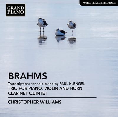 Christopher Williams - Brahms: Transcriptions For Solo Piano By Paul Klengel | Trio For Violin, Horn And Piano | Clarinet Quintet (CD)