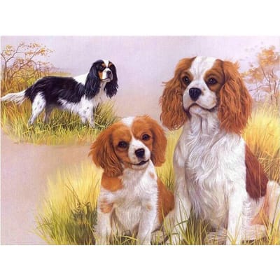 Strassstickers DIY diamantschilderij borduurpakketten hond volledige diamantborduurwerk 20X30CM beige