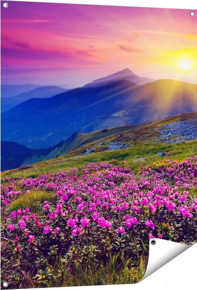 Gards Tuinposter Roze Rhododendron Bloemenveld - Bergen - 80x100 cm - Tuindoek - Tuindecoratie - Wanddecoratie buiten - Tuinschilderij