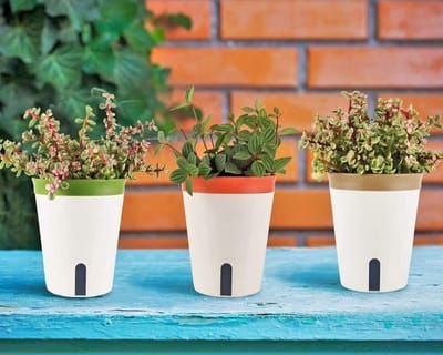 Dailygoods- Plantenpot Zelfbewaterend 14,5 cm - 3 Stuks - Ronde Plastic Bloempot - Waterniveauvenster - Afvoergat - Krasbestendig Materiaal