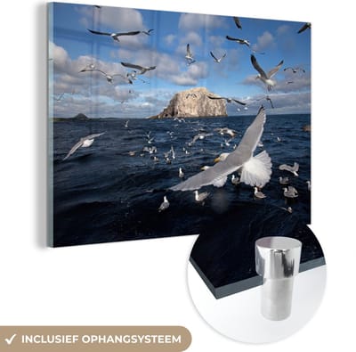 ® Glasschilderij 180x120 cm - Schilderij acrylglas - Zwerm jan-van-gent boven de Noordzee - Foto op glas - Muurdecoratie woonkamer - Wanddecoratie slaapkamer - Schilderijen