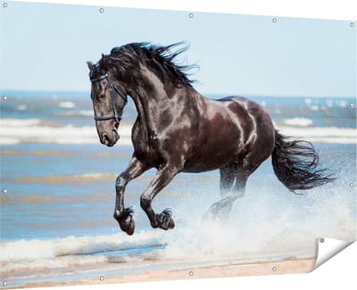 Gards Tuinposter Zwart Paard in het Water - 180x120 cm - Tuindoek - Tuindecoratie - Wanddecoratie buiten - Tuinschilderij