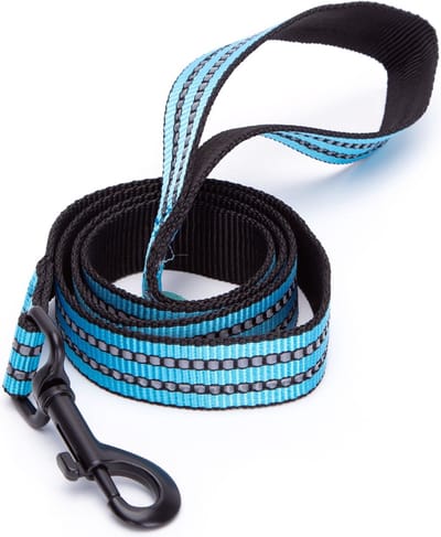 Nobleza Hondenriem - Reflecterende riem voor hond - Looplijn hond - Hondenlijn - Leiband hond - Reflecterend - Nylon - Blauw