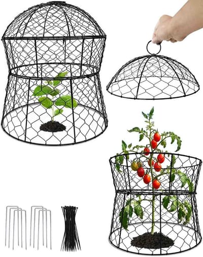 Set van 2 Metalen Plantenbeschermers - Cloche voor Tuin & Moestuin - Bescherming Tegen Dieren en Vorst (33x35 cm)