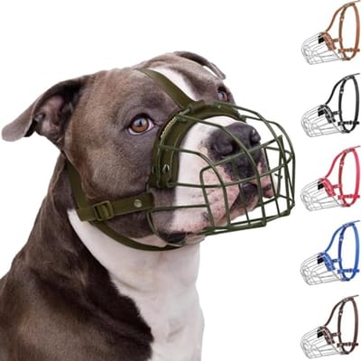 Ademend Houten Muizelaar voor Grote Honden - Geschikt voor Amstaff en Staffordshire Terrier - Inclusief Nylon Lijn - Tegen Bijten, Kauwen en Blaffen