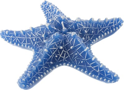 J-Line kaars Zeester - blauw - large - 3U