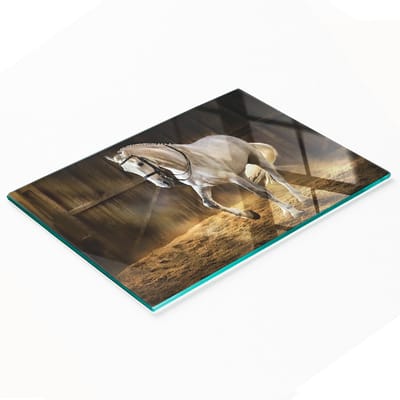 Geharde multifunctionele decoratieve glazen plaatmal in een stabiele vorm van 80x52 cm
