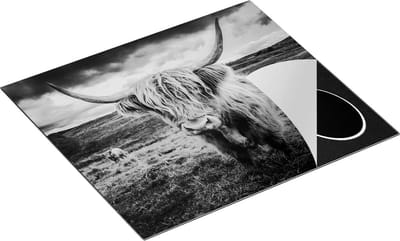 Chefcare Inductie Beschermer Schotse Hooglanders in de Weide met Wolken - Zwart Wit - 60x50 cm - Afdekplaat Inductie - Kookplaat Beschermer - Inductie Mat