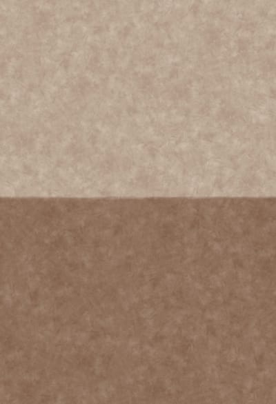Boråstapeter Vliesbehang 5092 - Chalk - Modern Beige - 45cm x 2.65m