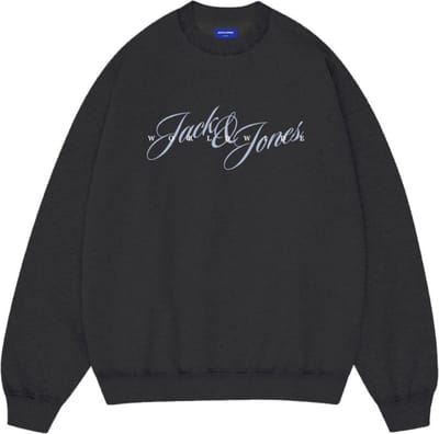 JACK&JONES - JORINWOOD SWEAT CREW NECK FST PLS - Heren - Sweaters