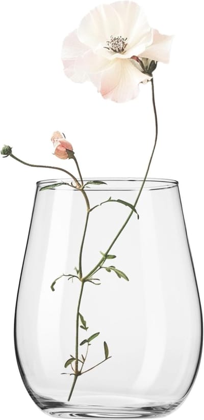 Famanu – Natuurlijke afwasborstel set met 3 reservekoppen voor potten, pannen, flessen en spoelbakken, ideaal voor het reinigen van keukengerei