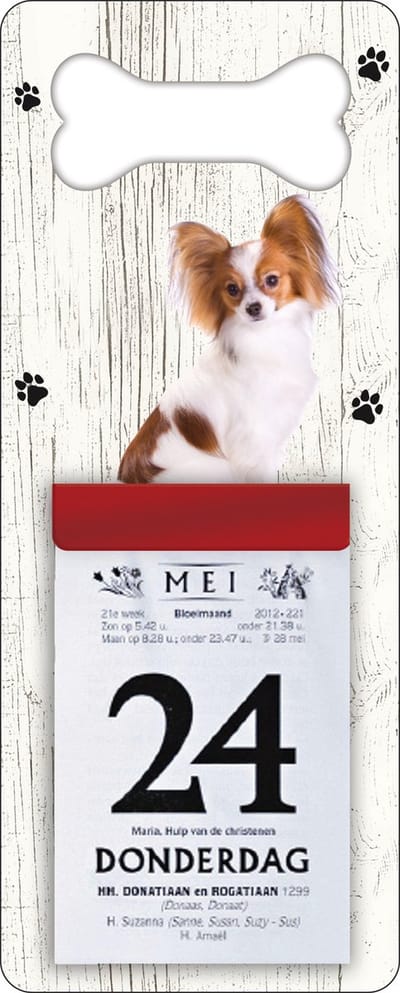 Scheurkalender 2027 Hond: Vlinderhond