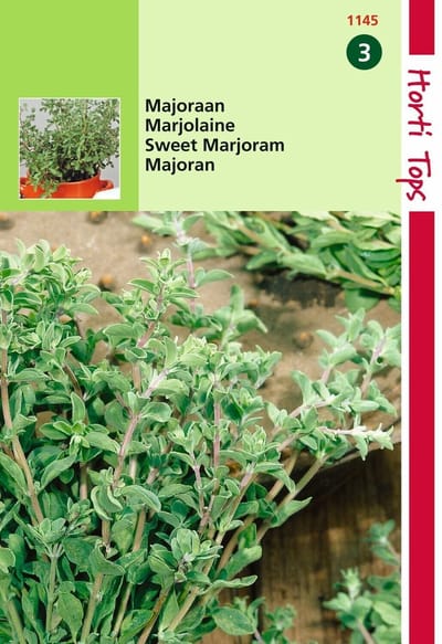 2 stuks - Hortitops - Majoraan