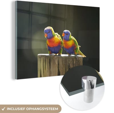 ® Glasschilderij 180x120 cm - Schilderij acrylglas - Kleurrijke Lori's van de blauwe bergen op een paal - Foto op glas - Muurdecoratie woonkamer - Wanddecoratie slaapkamer - Schilderijen