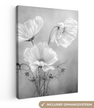 Canvas schilderij 30x40 cm - Wanddecoratie Stilleven - Bloemen - Zwart wit - Klaproos - Botanisch - Muurdecoratie woonkamer - Slaapkamer decoratie - Kamer accessoires - Schilderijen op canvas