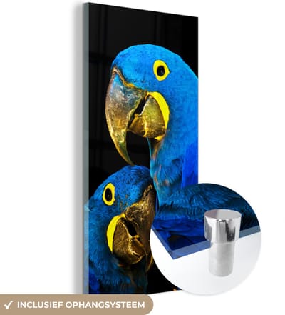 MuchoWow® Glasschilderij 20x40 cm - Schilderij acrylglas - Papegaai - Vogel - Veren - Blauw - Foto op glas - Schilderijen