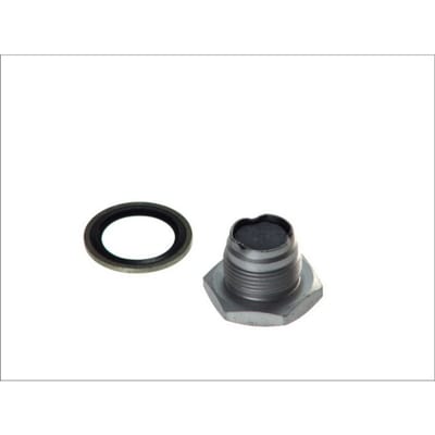 Schroef plug oliepan DT Spare Parts 2.11001