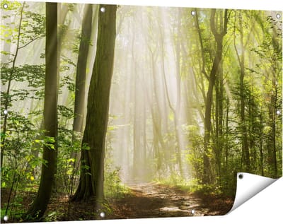 Gards Tuinposter Bos met Bomen en Zonneschijn - 120x80 cm - Tuindoek - Tuindecoratie - Wanddecoratie buiten - Tuinschilderij