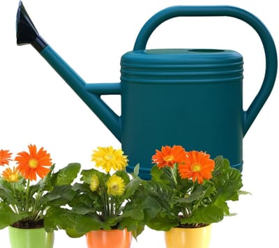 Gieter 5 Liter - Waterkruik Lange Tuit - Planten Water Geven - Duurzaam PP-hars Materiaal - 18x33x18 cm - Groen