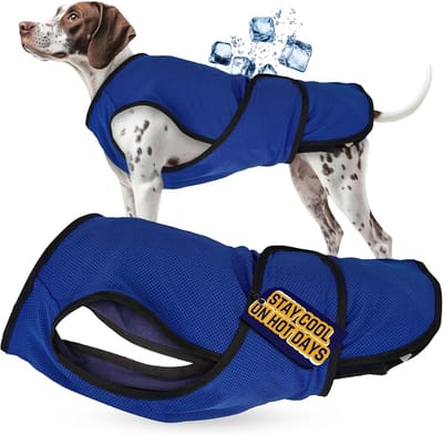 Honden Koelvest - Zomerjas Hond - Hond Koel Houden - Snelle Koelwerking - XXL - Blauw