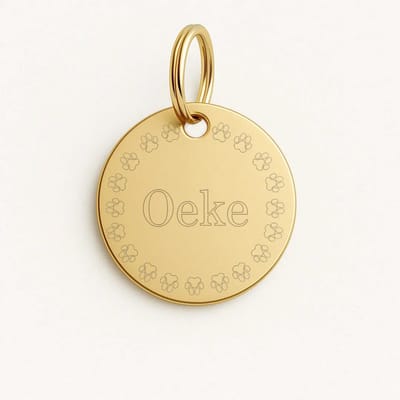 Lovelockers® | Hondenpenning inclusief graveren | Gegraveerde Penning | Coin 26mm | Stainless Steel | RVS | Goud | Luxe honden penning