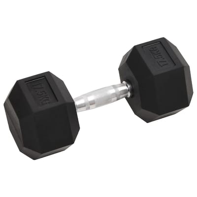 vidaXL - Halters - 17,5 - kg - gietijzer