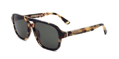 Police SPLL83M Shiny vintage havana 56/17/145 MAN Zonnebrillen