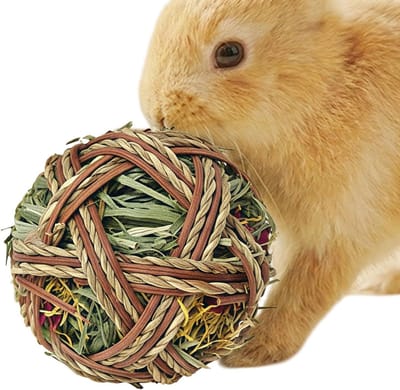 Konijn Knabbelballen - Kleine Dieren Speelgoed - Tanden Verzorgen - Natuurlijk Gras Materiaal - 9 x 25 cm - Niet Gespecificeerd