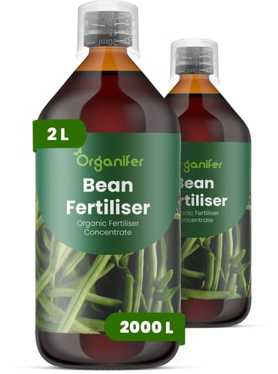 Vloeibare Meststof Voor Bonen 2X1 L Voor 2000 L - Npk 2-1-8 - Krachtige Groei - Rijke Bloei - Gelijkmatige Peulzet - Sterk Wortelstelsel - Stevige Rechte Peulen - Goede Smaak - Hittebestendig - Vroege Groei - Hoge Opbrengst - Organifer