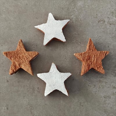 Coconut Star 5 Cm Half White 100 pcs - kerstdecoratie voor binnen - kerst - stukjes - decoratie - kerstster - kokos - coco - ster