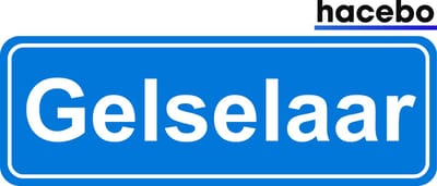 Hacebo - Plaatsnaam Sticker - 29x10 CM - Gelselaar sticker - Verkeersborden sticker - grappige cadeaus - Gelselaar
